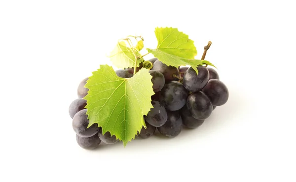 Grapes isolated on white — Stock Photo, Image