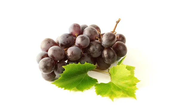 Uvas aisladas sobre blanco — Foto de Stock