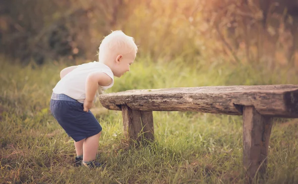 Blond toddler boy in the nature — Stock Photo, Image