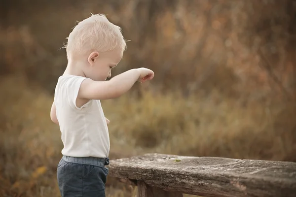 Blond toddler boy in the nature — Stock Photo, Image