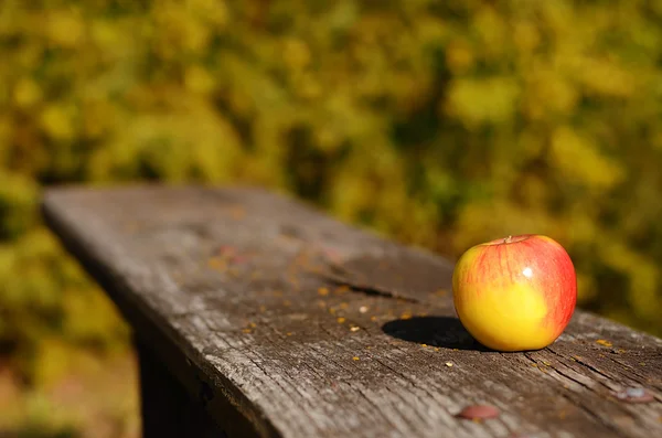 Яблоко на скамейке, в осенний день — стоковое фото