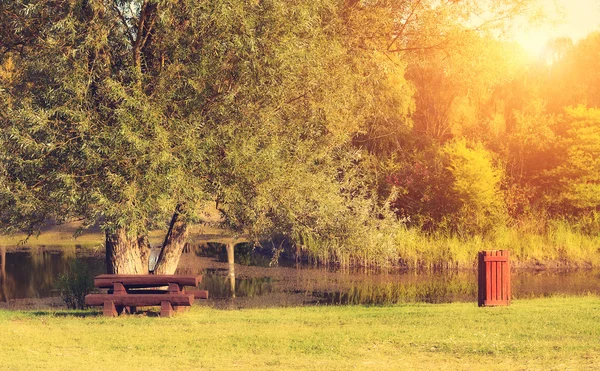 Sonbahar günbatımı Park'ta Vintage Fotoğraf — Stok fotoğraf