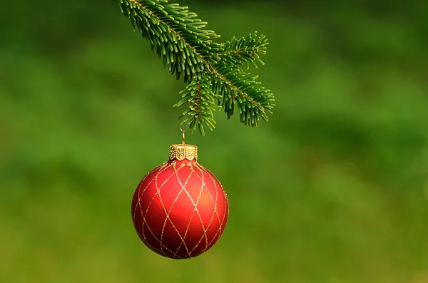 Röd prydnad christmas ball — Stockfoto
