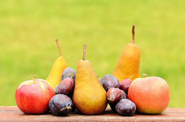 Fresh fruits after harvest — Stock Photo, Image