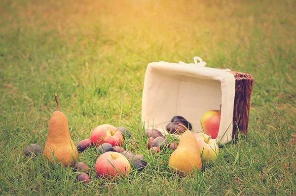 Винтажное фото свежих фруктов — стоковое фото