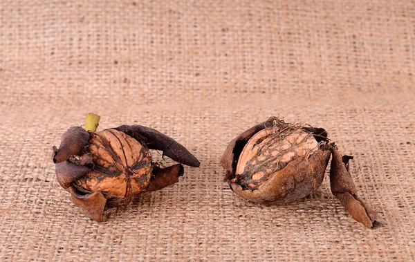 Walnuts closeup on the sackcloth — Stock Photo, Image