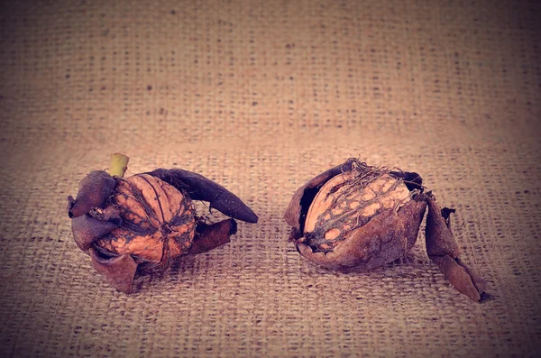 Vintage photo of walnut on sackcloth — Stock Photo, Image