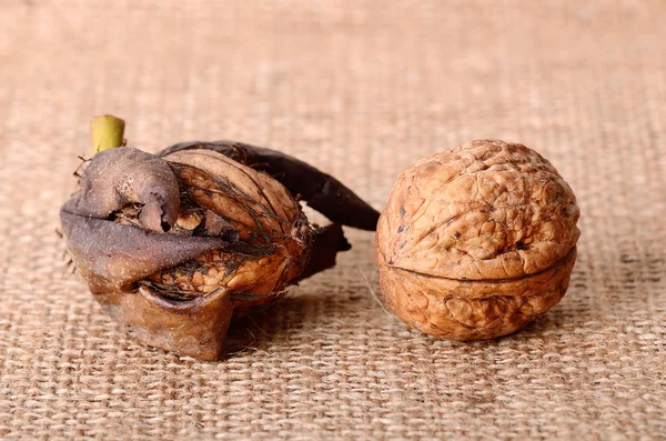 Walnuts closeup on the sackcloth — Stock Photo, Image