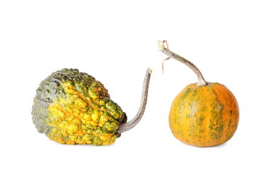 Dekoratif balkabağı beyaz zemin üzerine izole