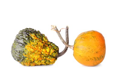 Dekoratif balkabağı beyaz zemin üzerine izole