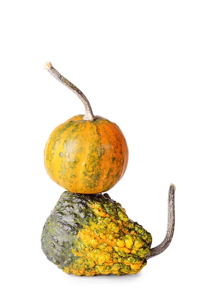 Decorative pumpkin isolated on white background — Stock Photo, Image