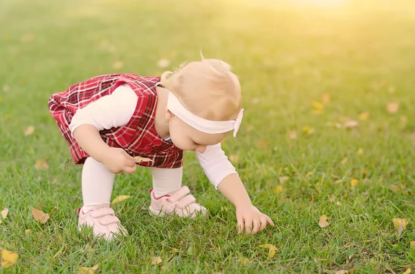 Toddler girl on the field — Stock Photo, Image