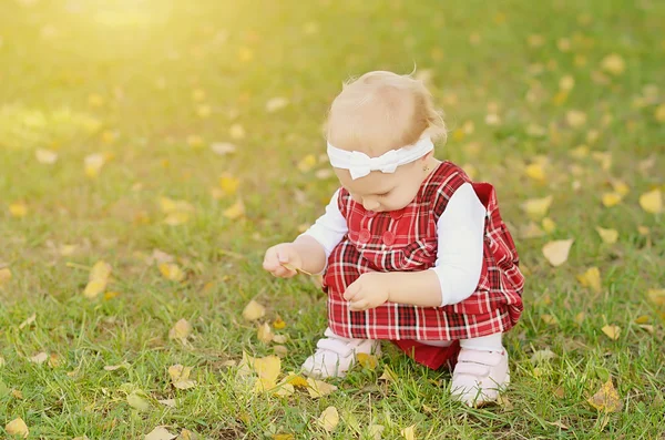 Toddler girl on the field — Stock Photo, Image