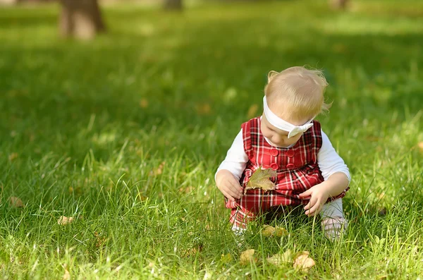 Toddler girl on the field — Stock Photo, Image