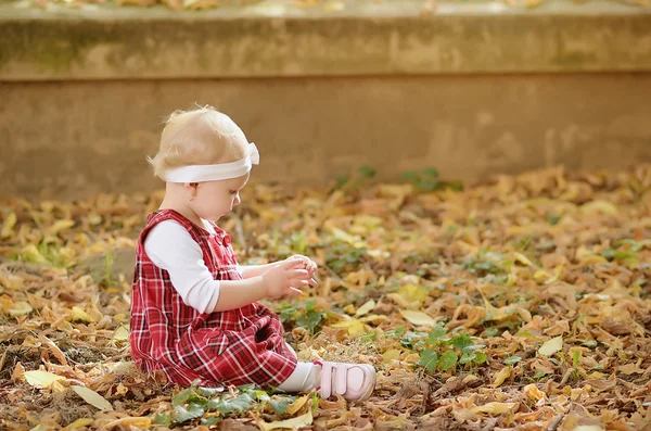 Toddler girl on the autumn park — Stock Photo, Image