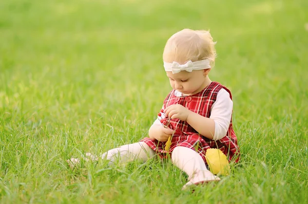 Toddler girl on the field — Stock Photo, Image