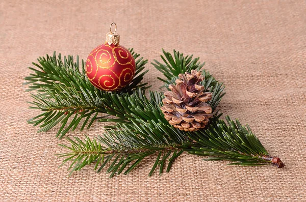 Fir branch on sackcloth background — Stock Photo, Image