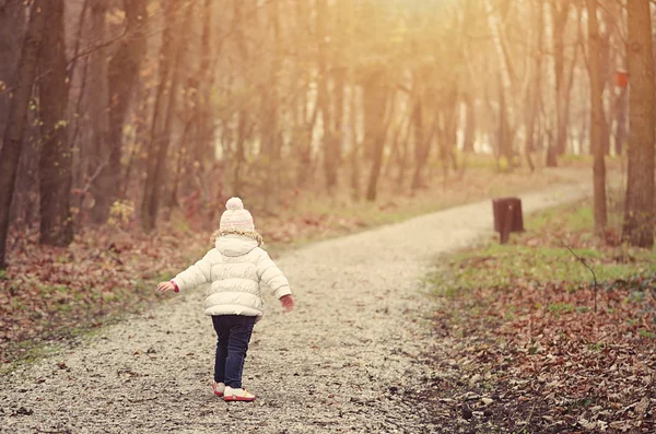 Little girl in the autumn forest — Stock Photo, Image