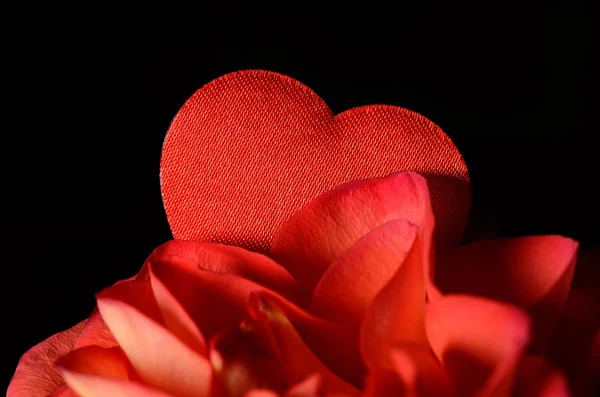 Foto de close-up de uma rosa com coração vermelho — Fotografia de Stock