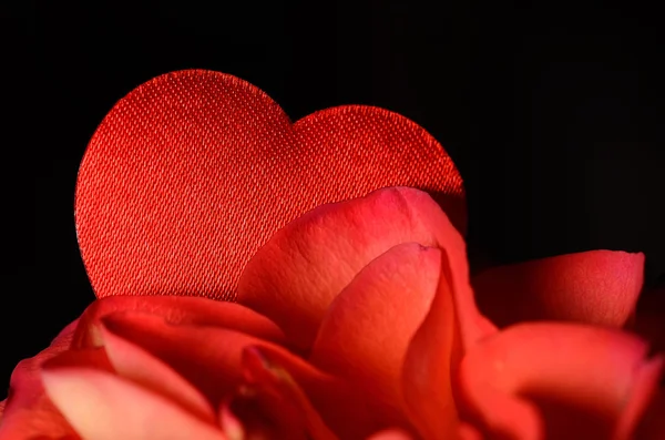 Foto di primo piano di una rosa con cuore rosso — Foto Stock