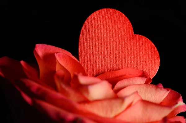 Primeros planos de una rosa con corazón rojo —  Fotos de Stock