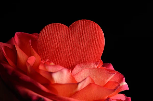 Фотография крупным планом розы с красным сердцем — стоковое фото