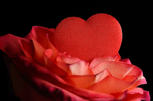 Foto de primer plano de una rosa con forma de corazón en negro —  Fotos de Stock