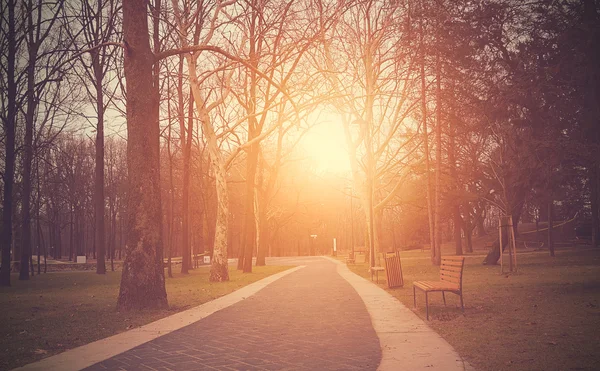 Park in sunset — Stock Photo, Image