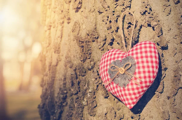 Heart shaped hanging — Stock Photo, Image