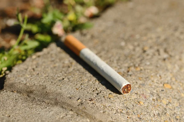 Cigarro sobre asfalto — Fotografia de Stock