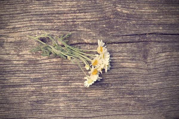 Foto van witte bloemen op houten achtergrond — Stockfoto