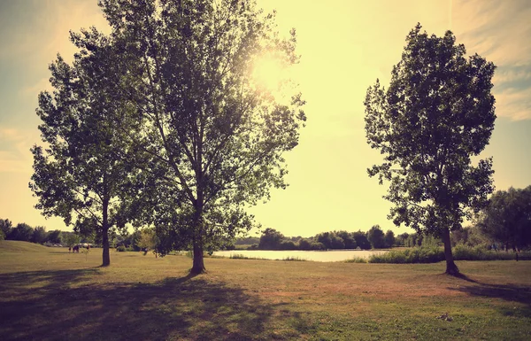 Vintage foto av en park – stockfoto