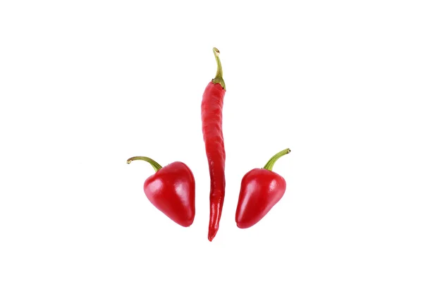 Röd chili isolerad på vit — Stockfoto