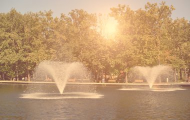 Yumuşak fotoğraf Park Debrecen, Macaristan