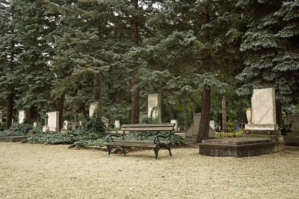 Old bench in cemetery — Stock Photo, Image