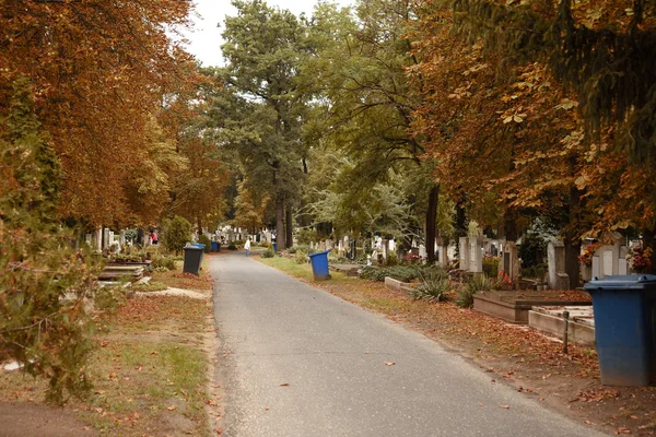 Pathway in cemetery an autumn day — Stock Photo, Image