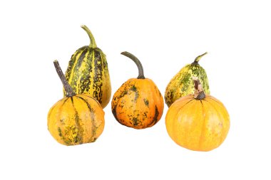 Beyaz arkaplanda izole edilmiş dekoratif balkabakları