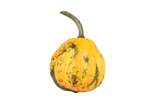 Decorative pumpkins isolated on white background — Stock Photo, Image