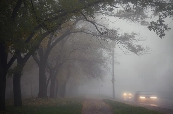 Niebla en la ciudad —  Fotos de Stock