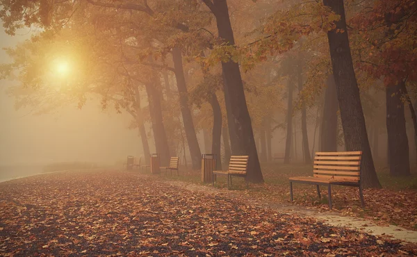 Oldtimer-Foto eines herbstlichen Parks — Stockfoto