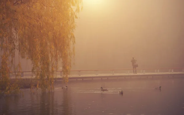 Man is a mystical lakeshore — Stock Photo, Image