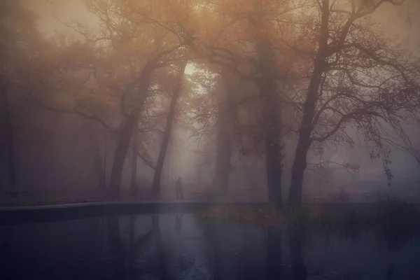 Autumn park on a foggy day — Stock Photo, Image