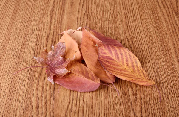Suchą jesień liść na podłoże drewniane — Zdjęcie stockowe
