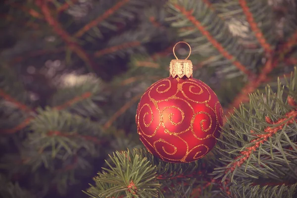 Albero di Natale con decorazione — Foto Stock