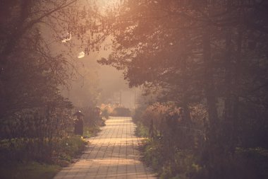 Orman yolu Vintage Fotoğraf