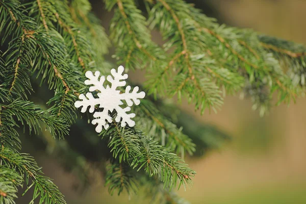 Copo de nieve en una rama de pino — Foto de Stock