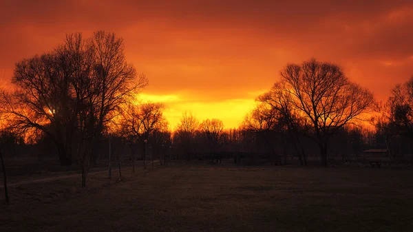 Solnedgång i parken — Stockfoto