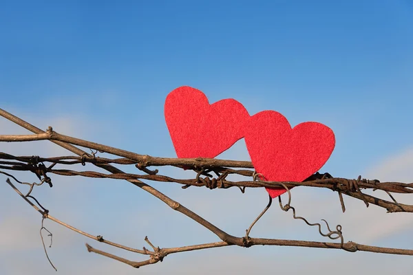 Closeup photo of two heart shape — Stock Photo, Image