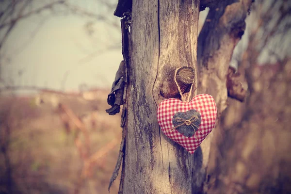 Vintage photo of hanging heart shape — Stock Photo, Image