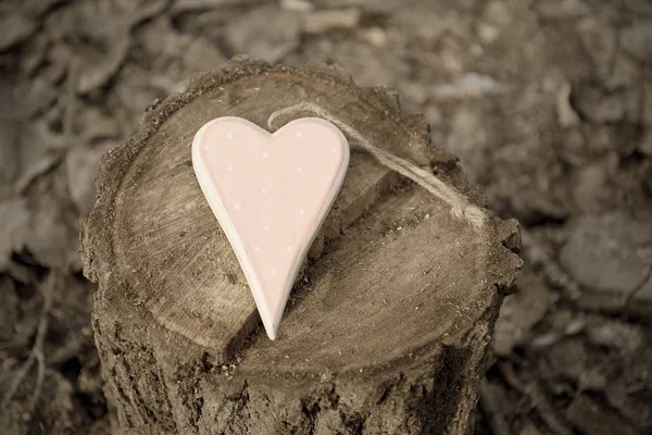 Heart shape on a tree trunk — Stock Photo, Image